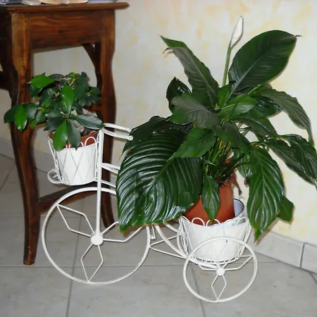 Hotel La Playa San Benedetto del Tronto