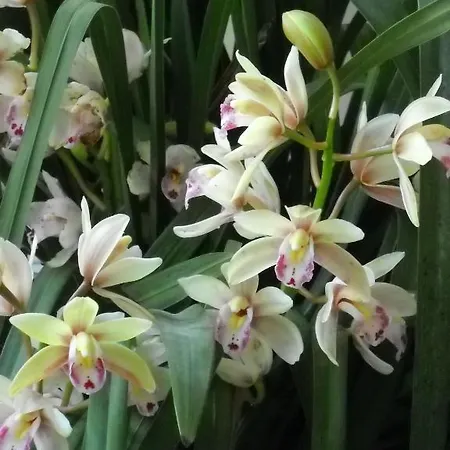 Hotel La Playa San Benedetto del Tronto